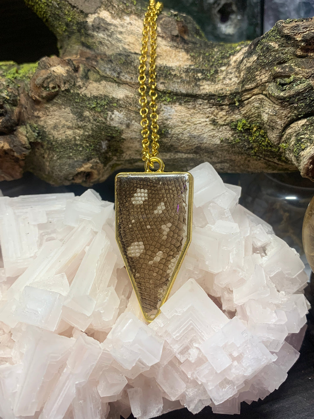 Gold Pentagon Reptile Shed Necklace