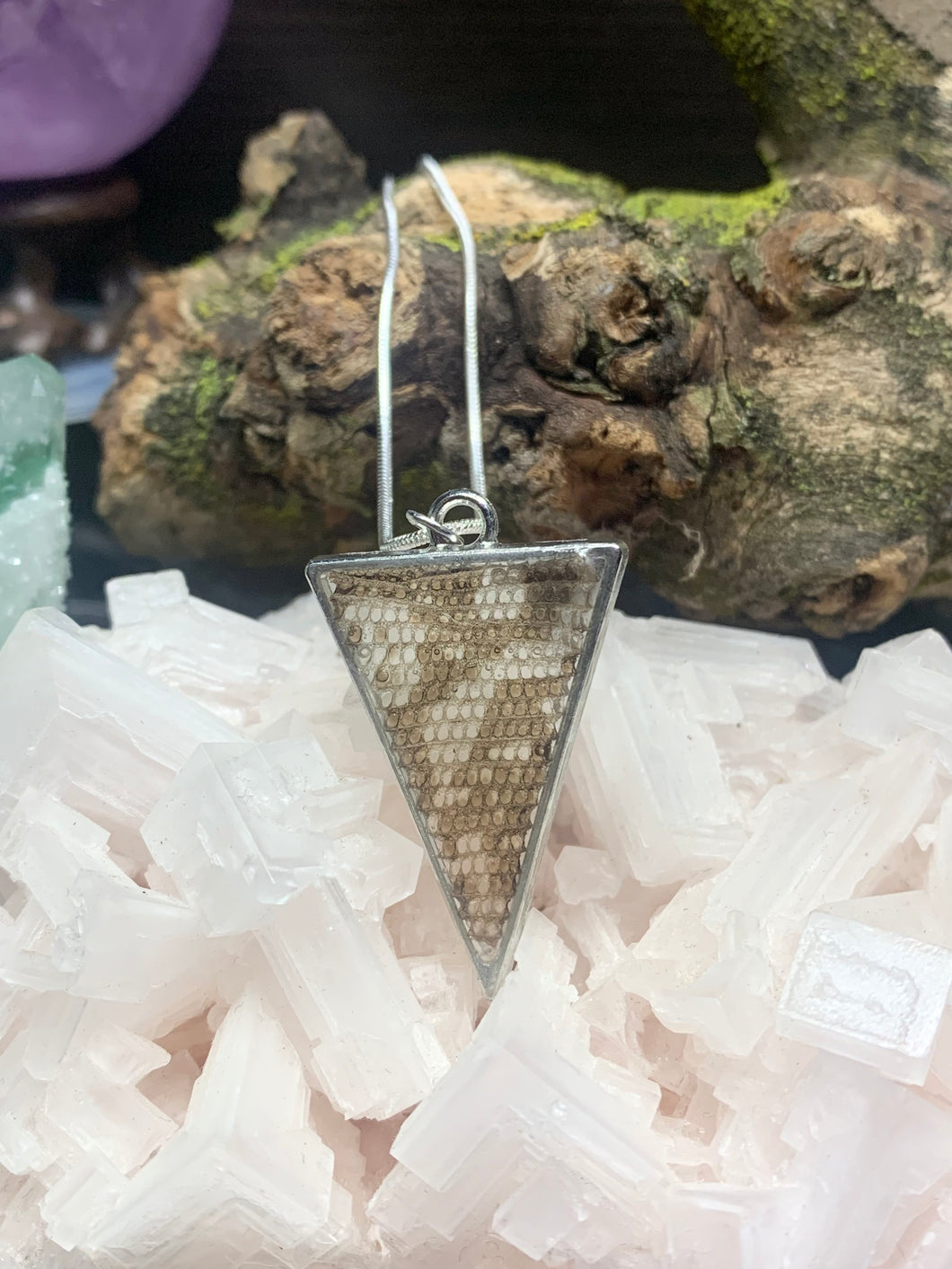 Silver Triangle Reptile Shed Necklace