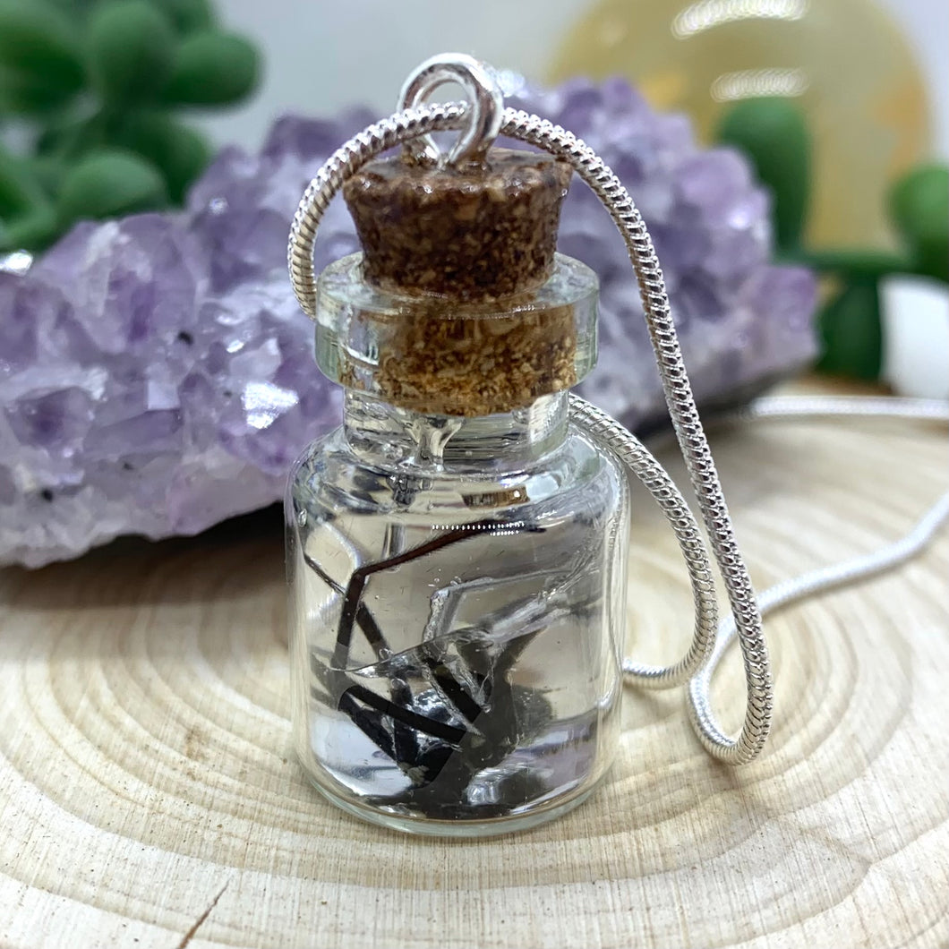 Black Widow longlegs Jar Necklace