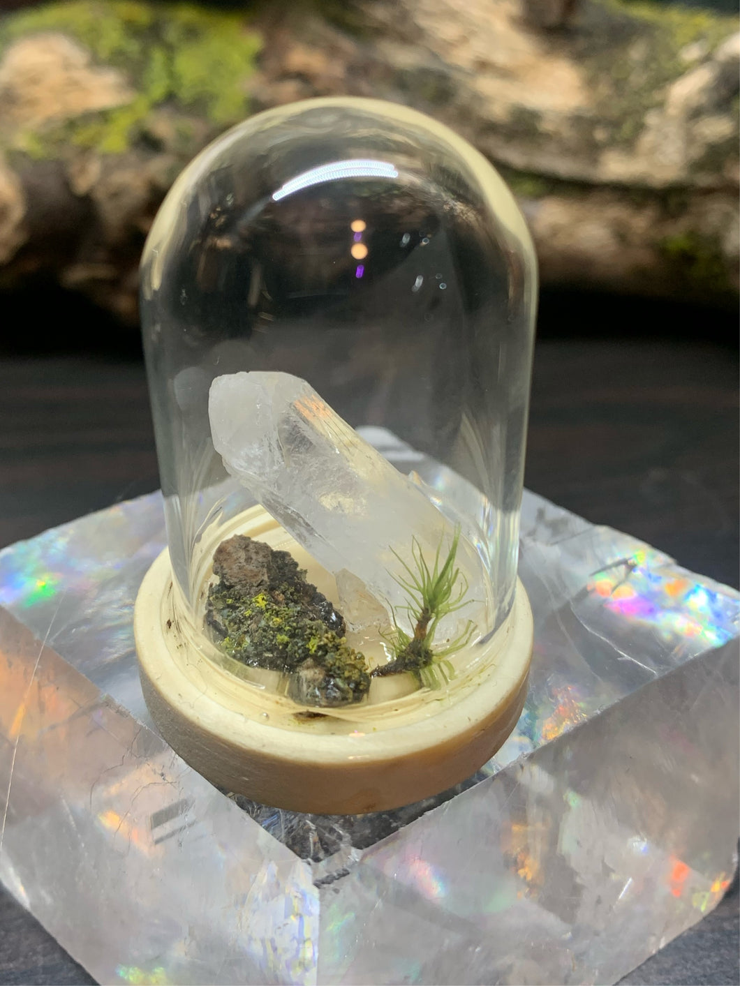 Moss and Quartz Display