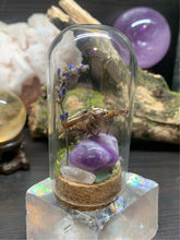 Load image into Gallery viewer, June Bug Lavender Display
