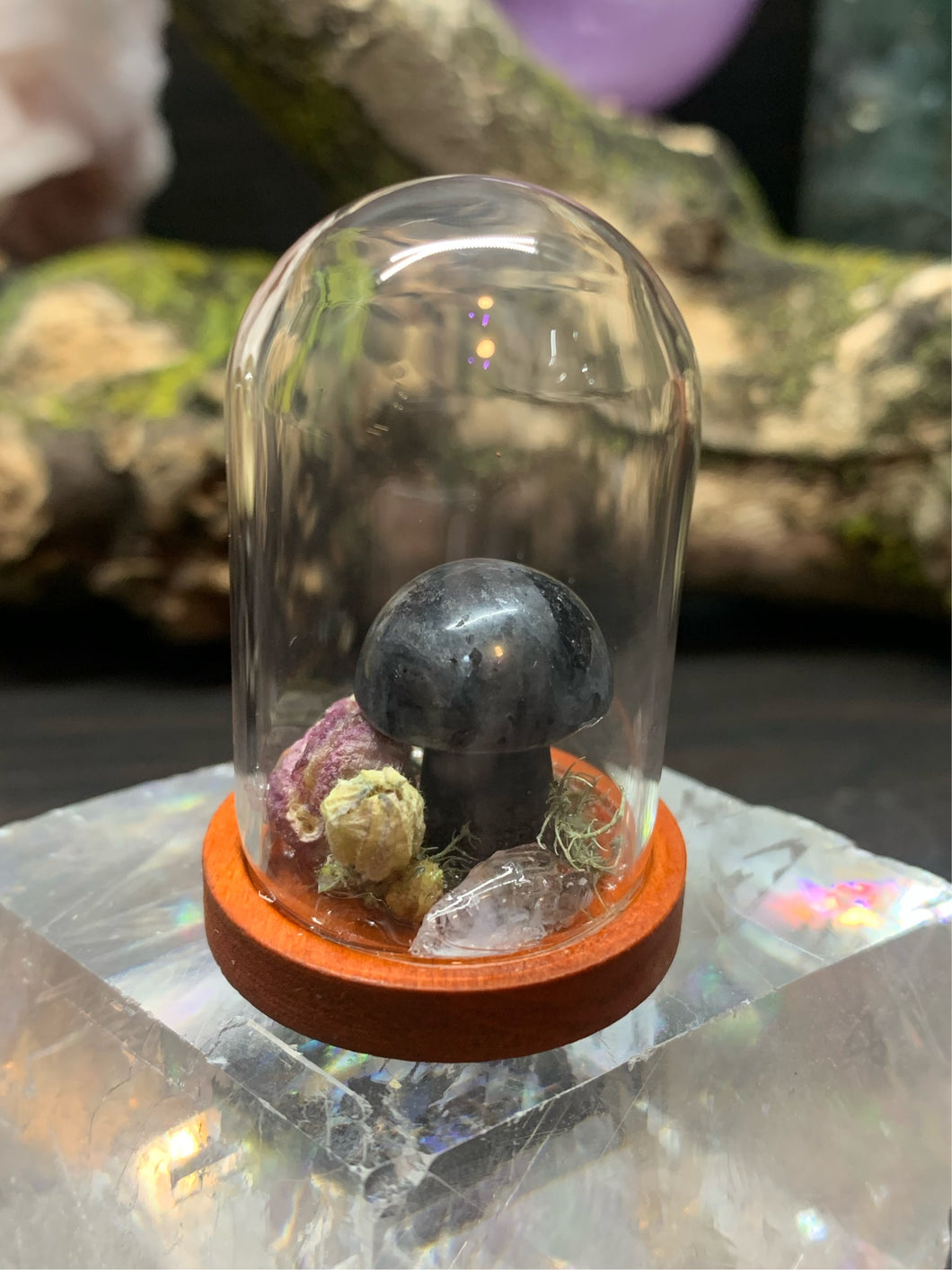 Labradorite Mushroom Display