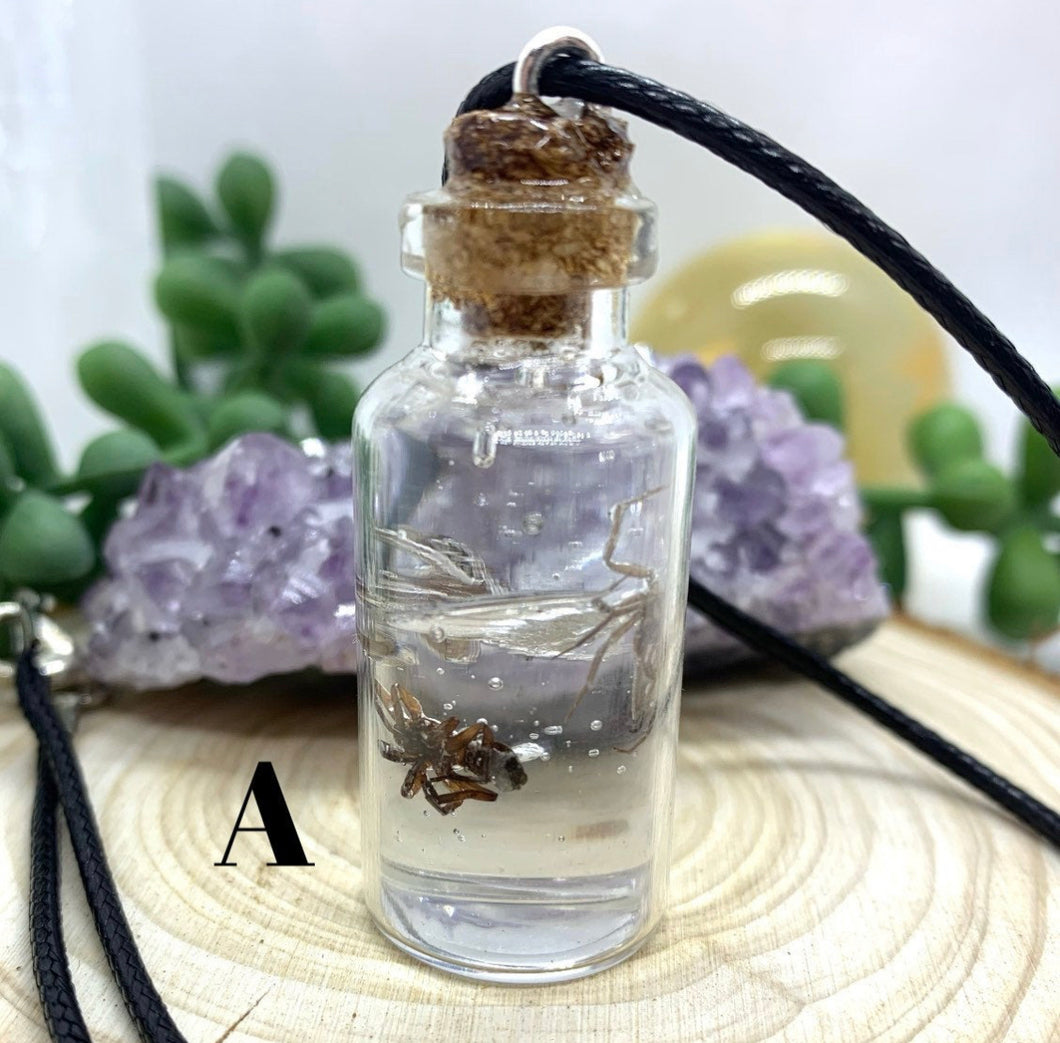 3 Small Spiders Jar Necklace