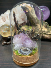 Load image into Gallery viewer, Amethyst Nature Display
