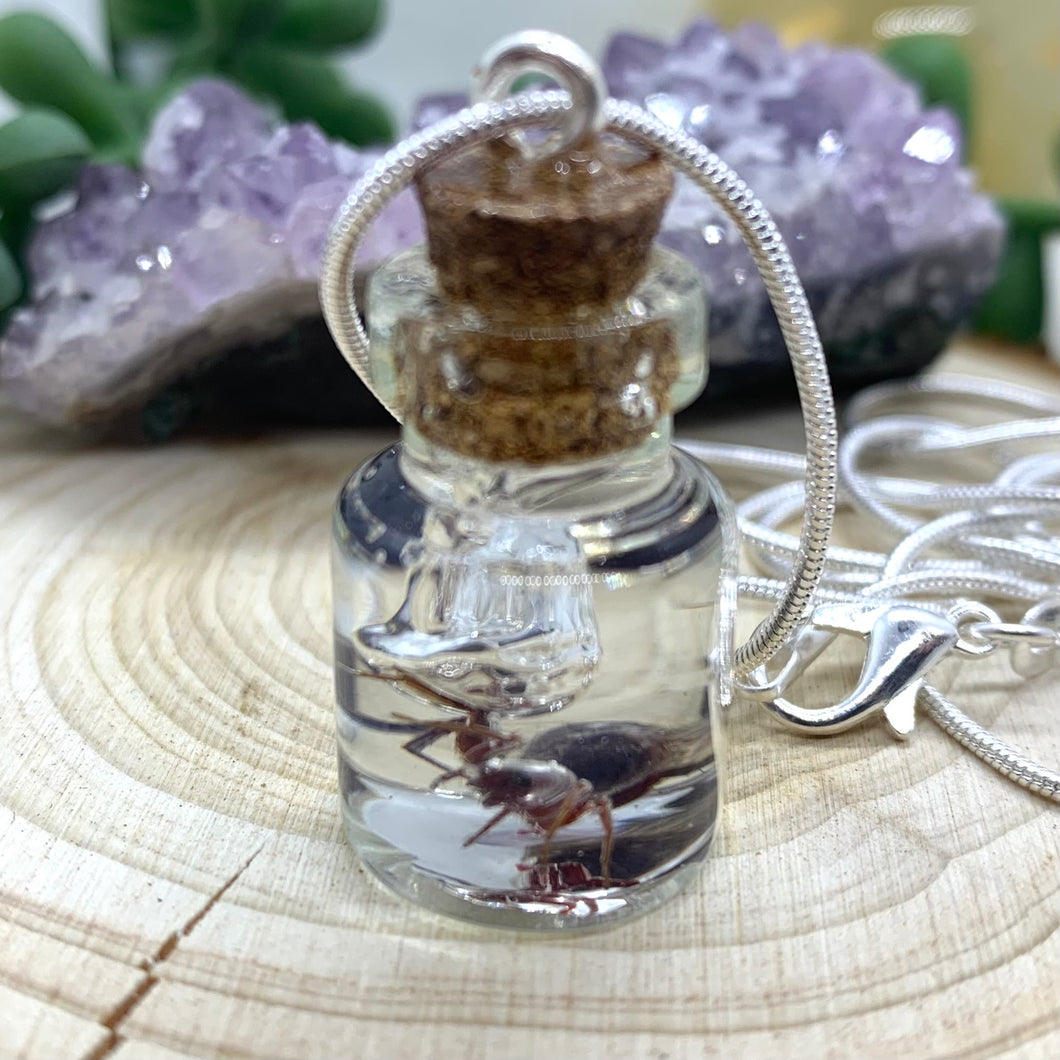 Red Spider Jar Necklace