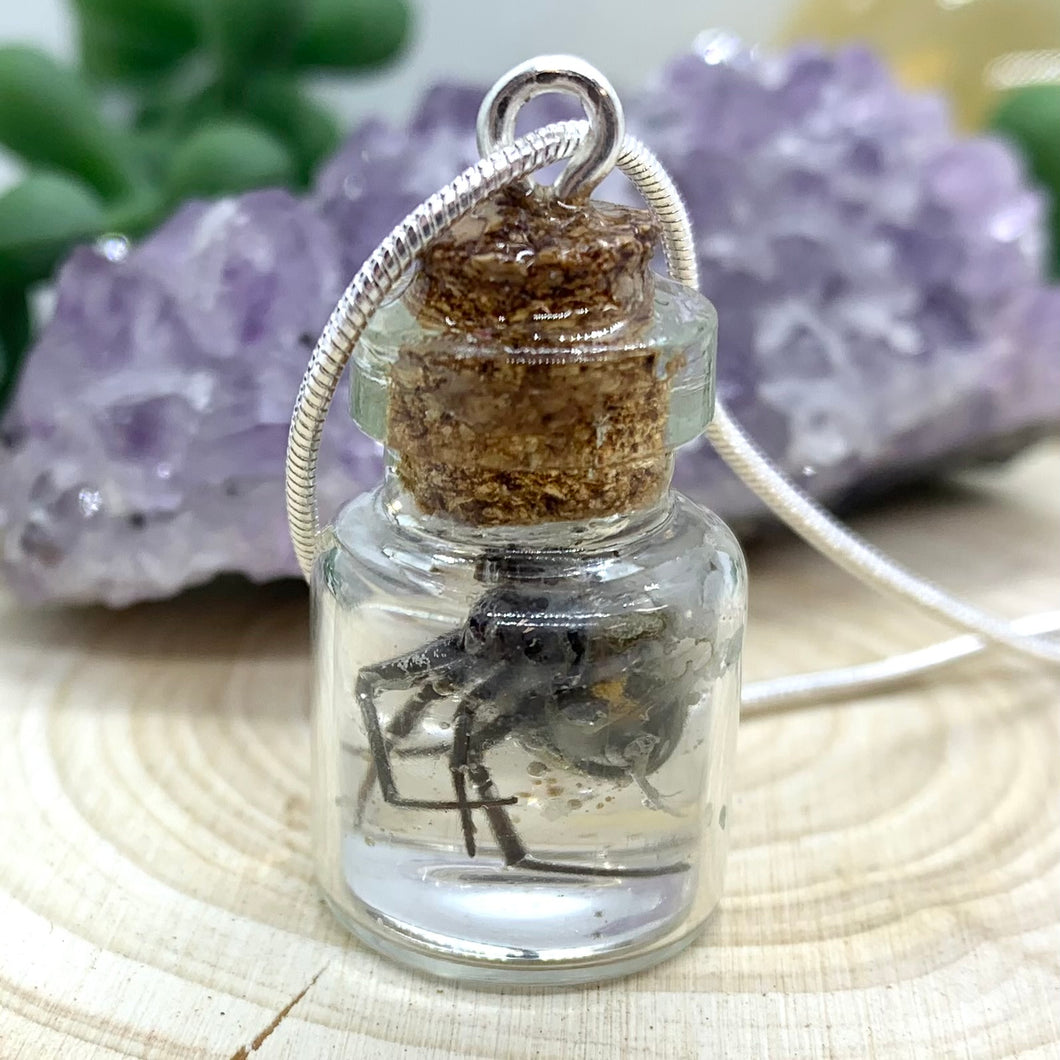 Black Widow Jar Necklace