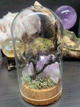 Load image into Gallery viewer, Amethyst Nature Display
